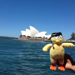 Suivez une mascotte